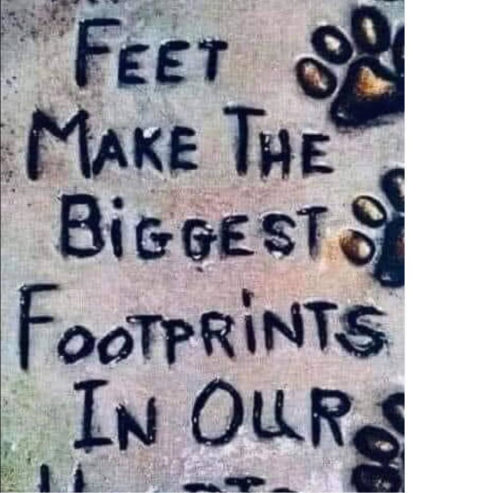 Meet your Posher, Danette